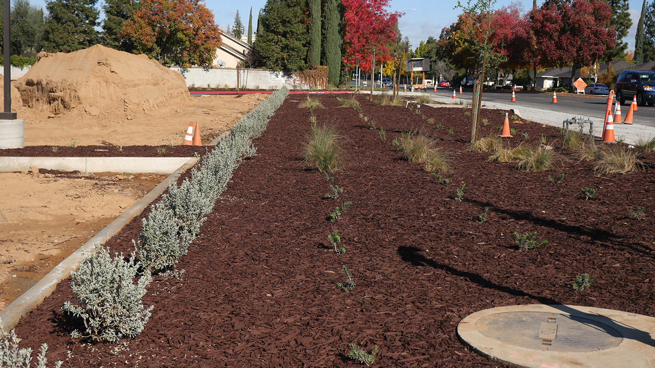 Newest ALDI Store in Fresno Gets Final Touches, Eyes Opening GV Wire