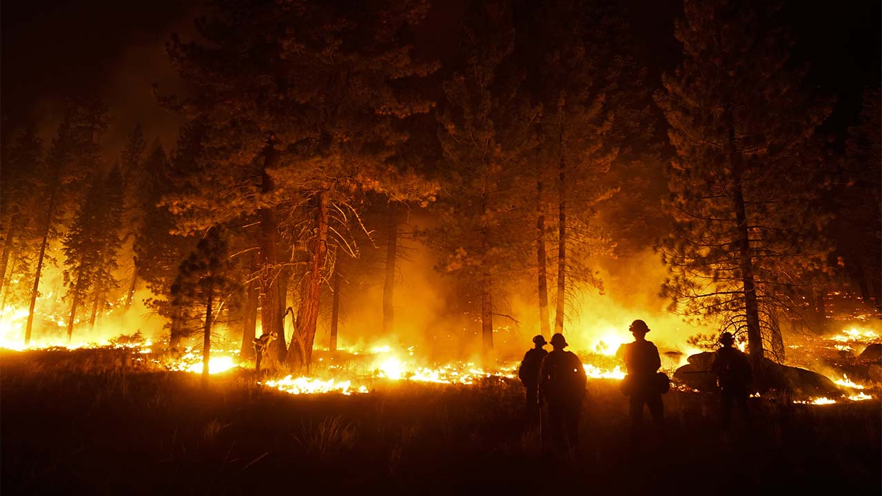 How we covered the wildfires