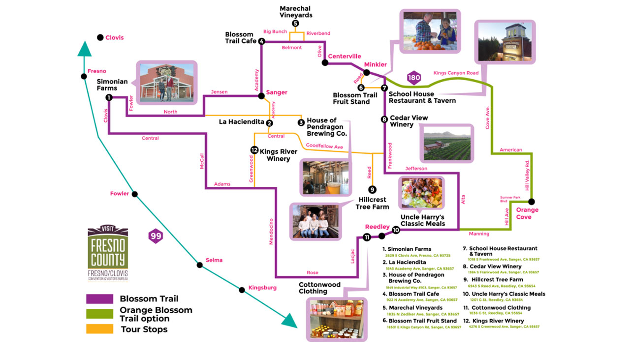 Time to Get Ready for Fresno County’s Amazing Blossom Trail GV Wire
