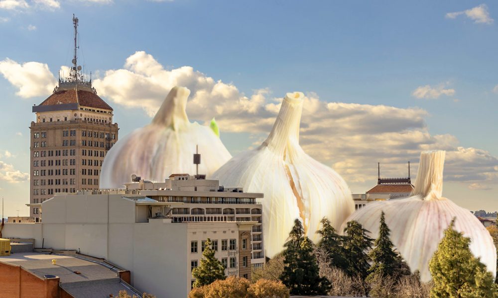 Fresno County Garlic Fest Funding Cooks Up Flavorful Debate GV Wire 