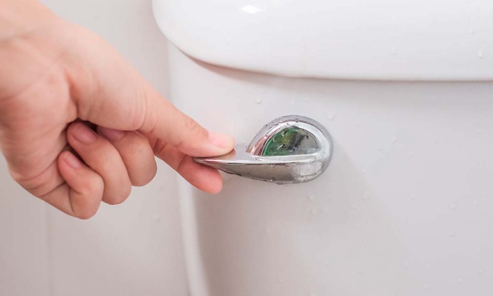 ‘Do Not Flush’ Law Takes Effect in California. Here’s What Else is New