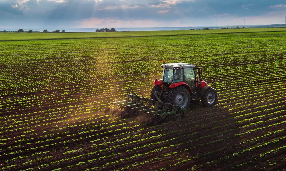 Biden's Ratcheting of Federal Air Regs Could End California Farming - GV Wire - Vimarsana News