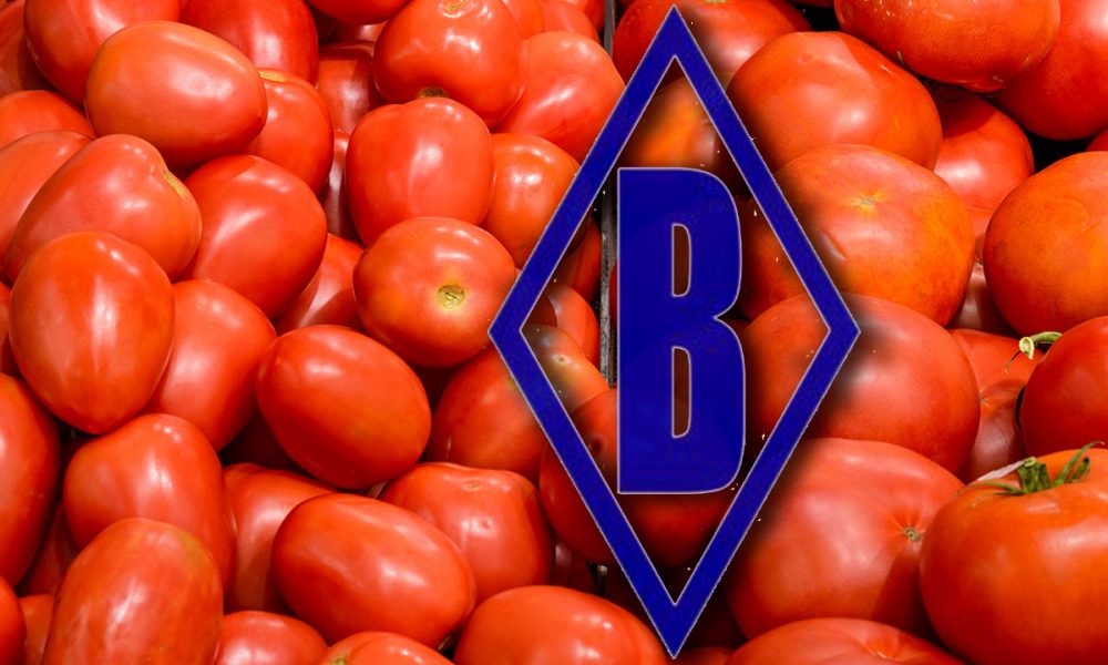 Boswell Stands Ground ‘Wherever It Isn’t Going to Flood, We’re Going