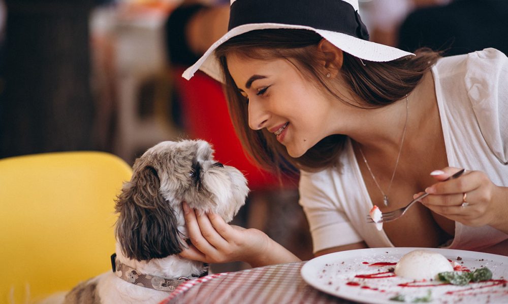 More Dogs Could Show up in Outdoor Dining Spaces. Not Everyone Is Happy About It - GV Wire - Vimarsana News