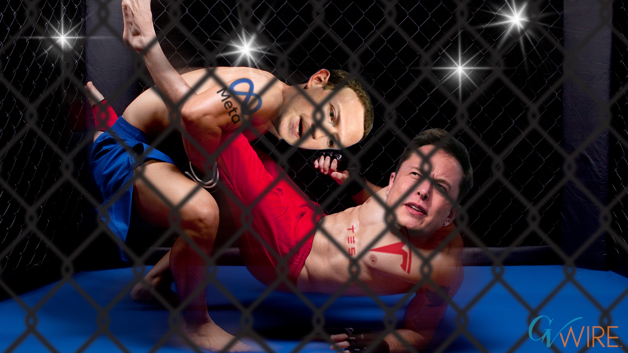 amateur cage fighting the young guns